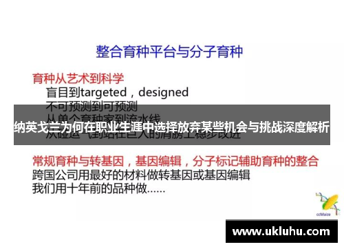 纳英戈兰为何在职业生涯中选择放弃某些机会与挑战深度解析 纳英戈兰为何在职业生涯中选择放弃某些机会与挑战深度解析