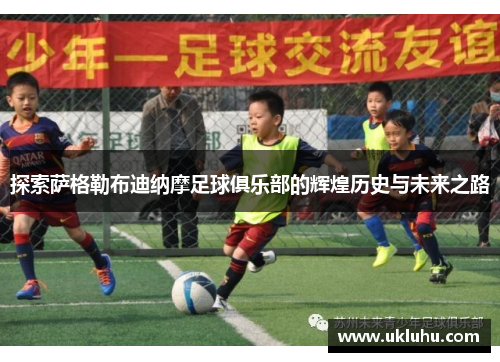 探索萨格勒布迪纳摩足球俱乐部的辉煌历史与未来之路