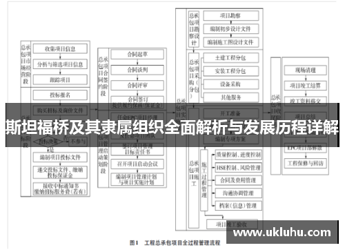 斯坦福桥及其隶属组织全面解析与发展历程详解