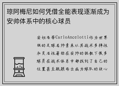 琼阿梅尼如何凭借全能表现逐渐成为安帅体系中的核心球员